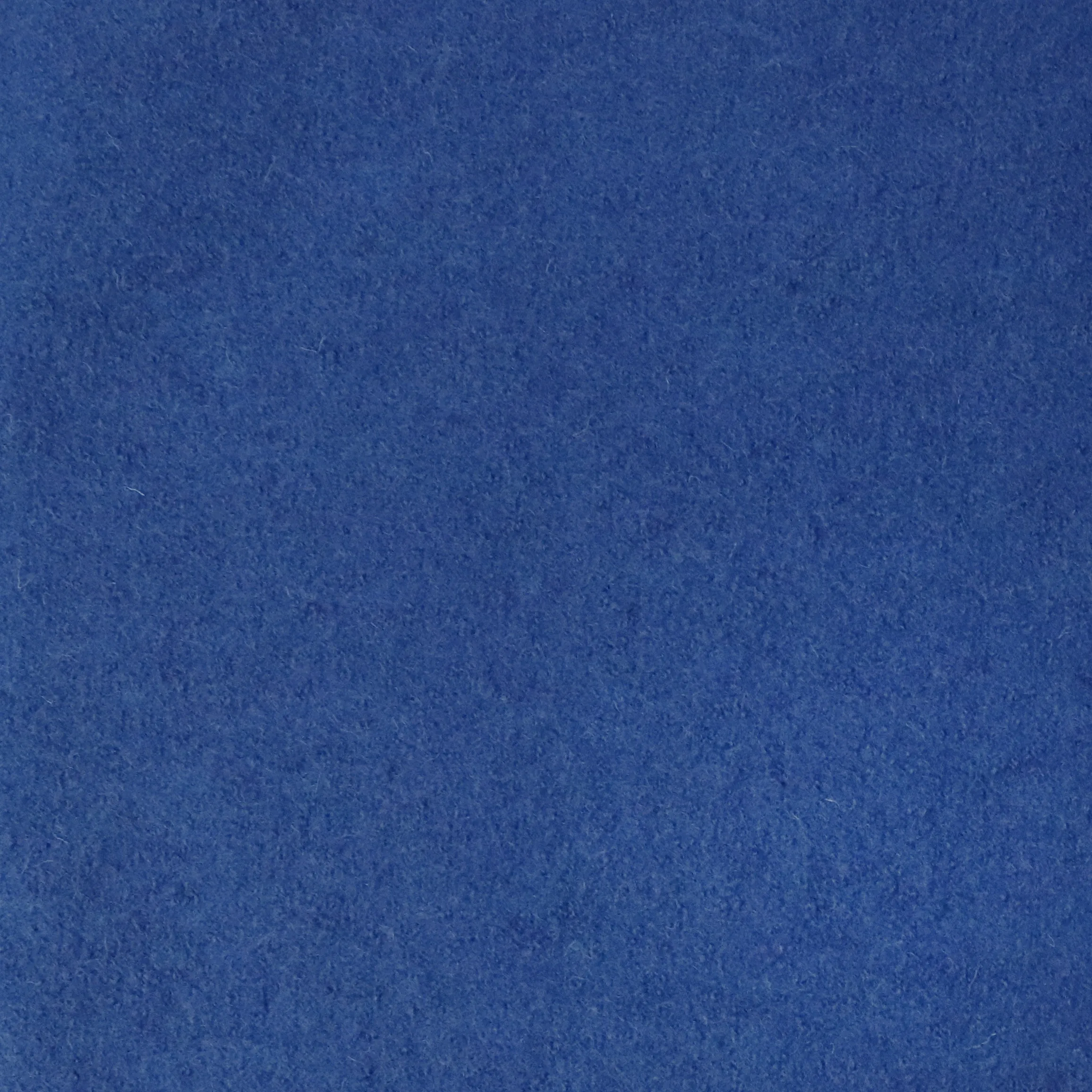 Boiled Wool Coating - Royal Blue