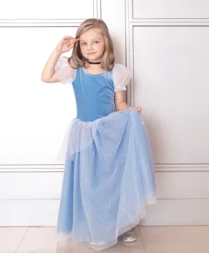 The Princess Cinderella Blue Costume Dress